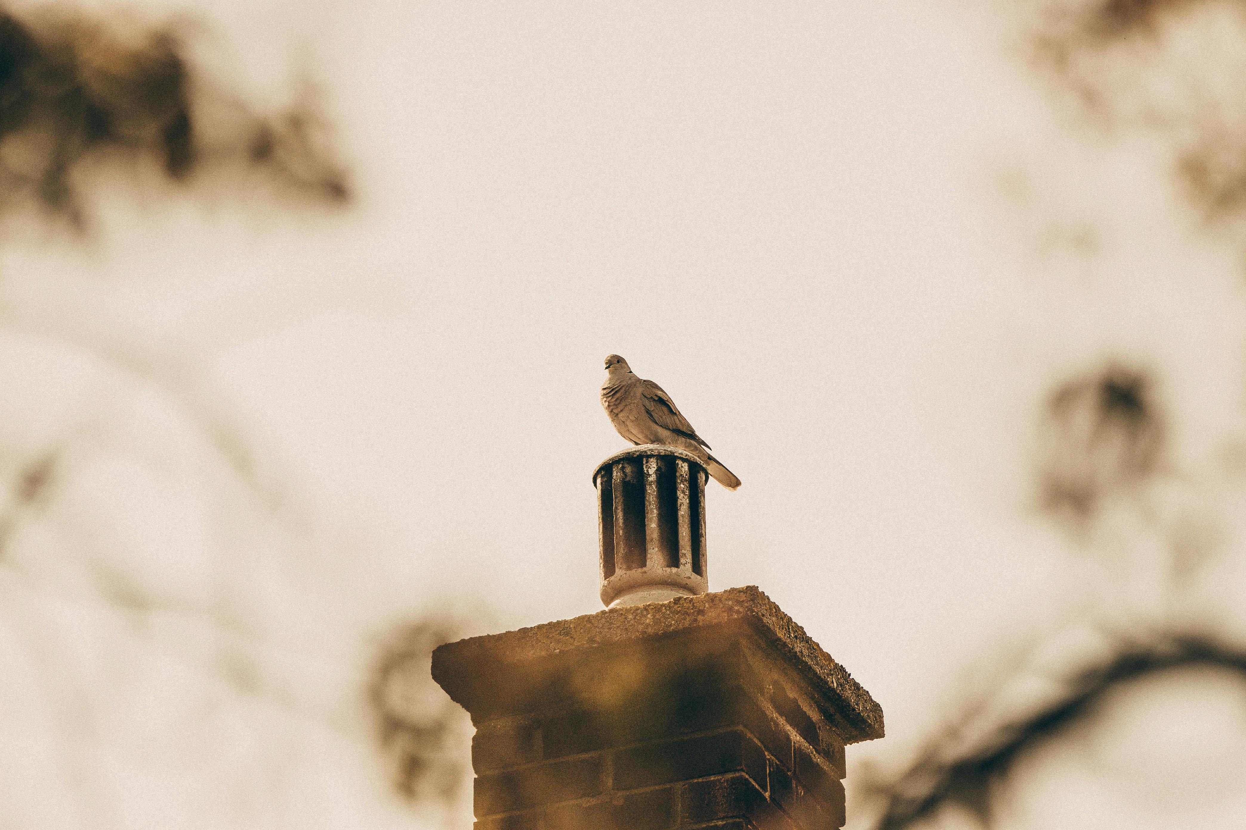 Quality Chimney Caps and Dampers Installation in Itasca, IL Professional Chimney Cap and Damper In Itasca Illinois